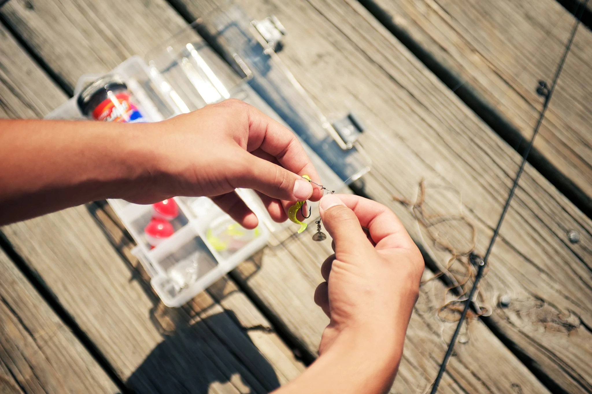 Softbaits Winkel -Softbaits Winkel 84889151 2848022958613633 1291444795587166208 n