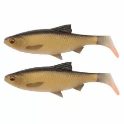 SAVAGE GEAR 3D RIVER ROACH 22 CM 125 GRAM (2 Stuks) Dirty Roach