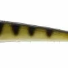 Westin Twin Teez V-tail 15 Cm 14 Gram (5 Stuks) 1 Westin Twin Teez V-tail 15 Cm 14 Gram (5 Stuks) -Softbaits Winkel image 343