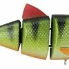 Spro Swimbait Bbz-1 4" Floating/21 Gram 2 Spro Swimbait Bbz-1 4" Floating/21 Gram -Softbaits Winkel image 520