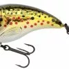 Spro Fat Iris 4 Cm 5,3 Gram Brown Trout 2 Spro Fat Iris 4 Cm 5,3 Gram Brown Trout -Softbaits Winkel image 528